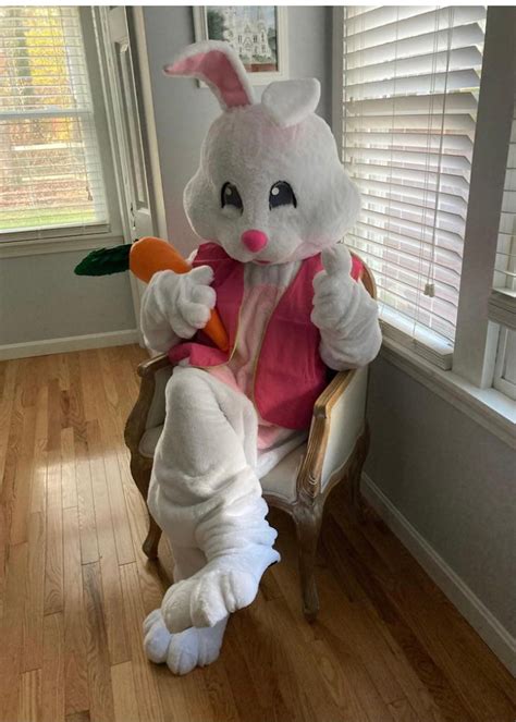 Rabbit easter mascot uniform